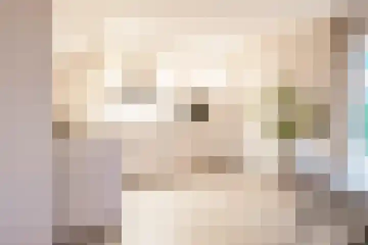 Jikke Reinbergenstrjitte 4 Gorredijk thumbnail 30