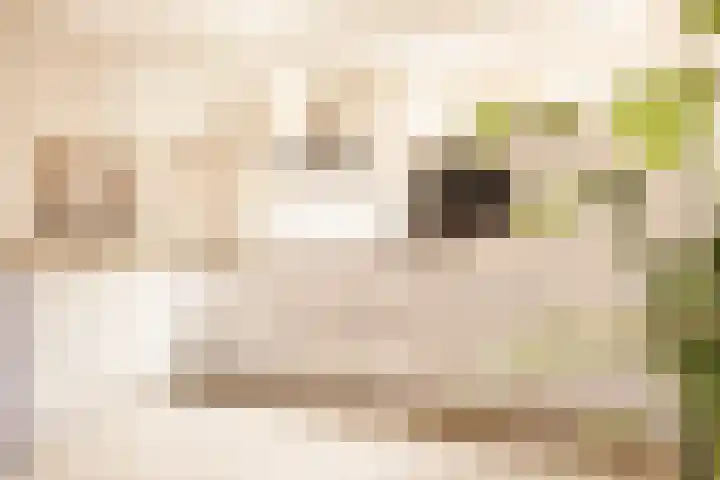 Jikke Reinbergenstrjitte 4 Gorredijk thumbnail 31
