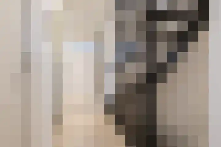 Jikke Reinbergenstrjitte 4 Gorredijk thumbnail 35