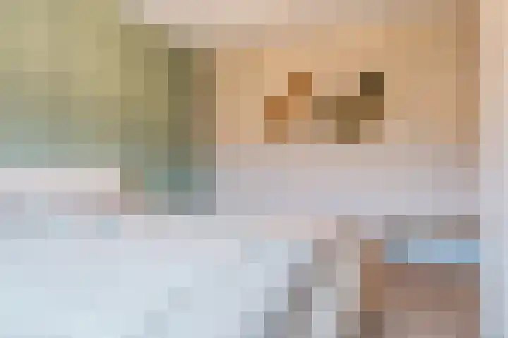Jikke Reinbergenstrjitte 4 Gorredijk thumbnail 40