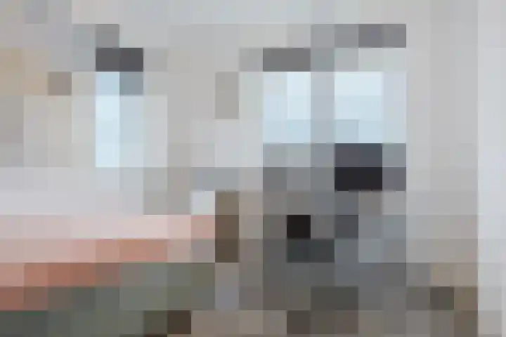 Jikke Reinbergenstrjitte 4 Gorredijk thumbnail 43