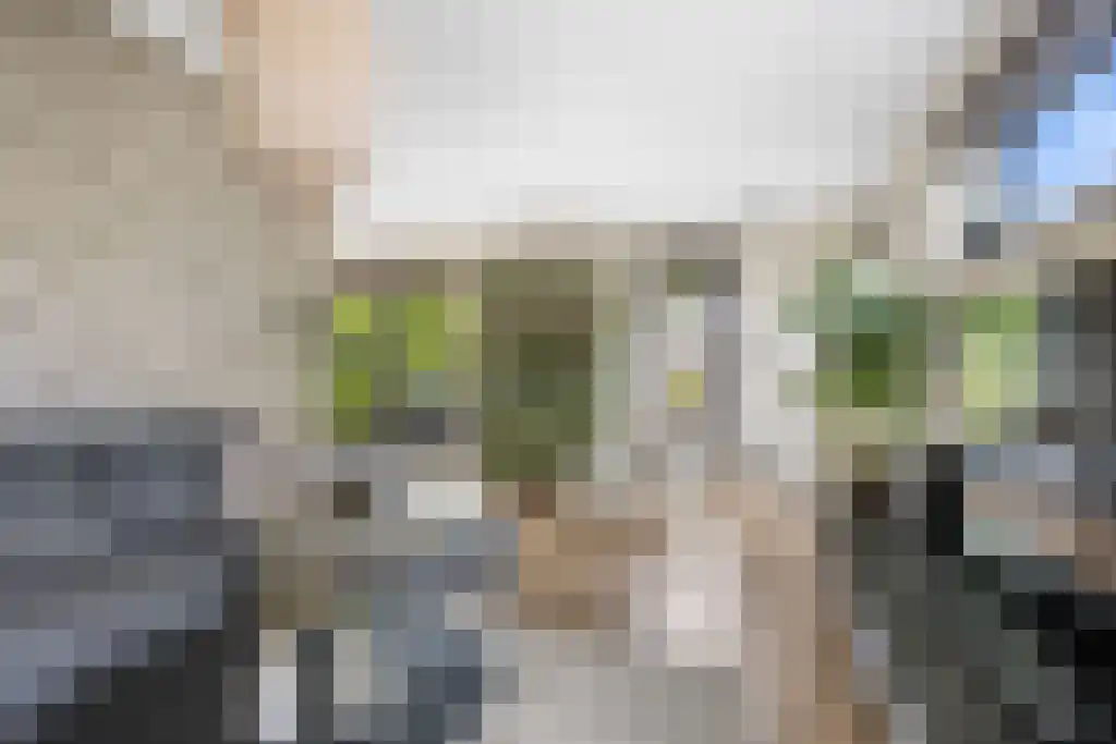 Jikke Reinbergenstrjitte 56 Gorredijk thumbnail 10
