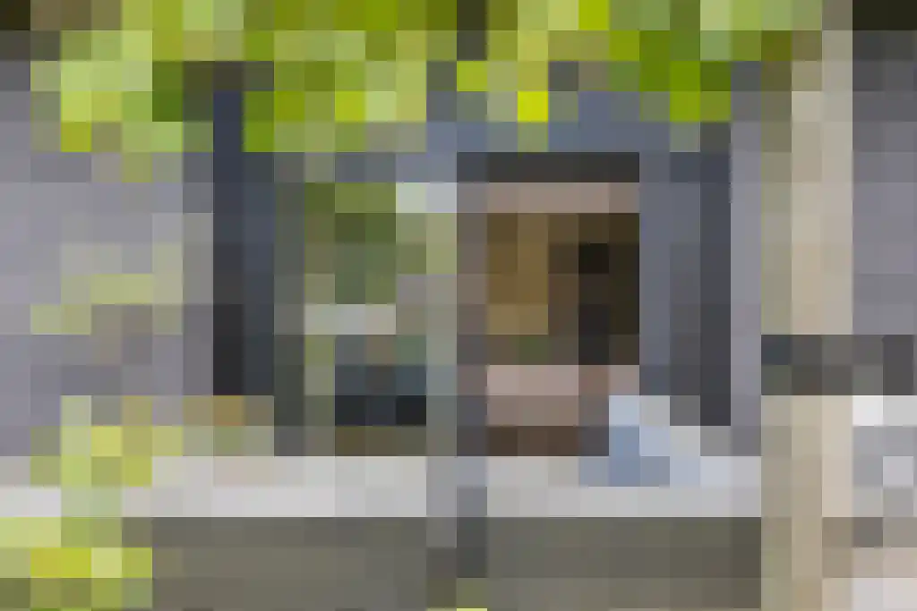 Jikke Reinbergenstrjitte 56 Gorredijk thumbnail 13