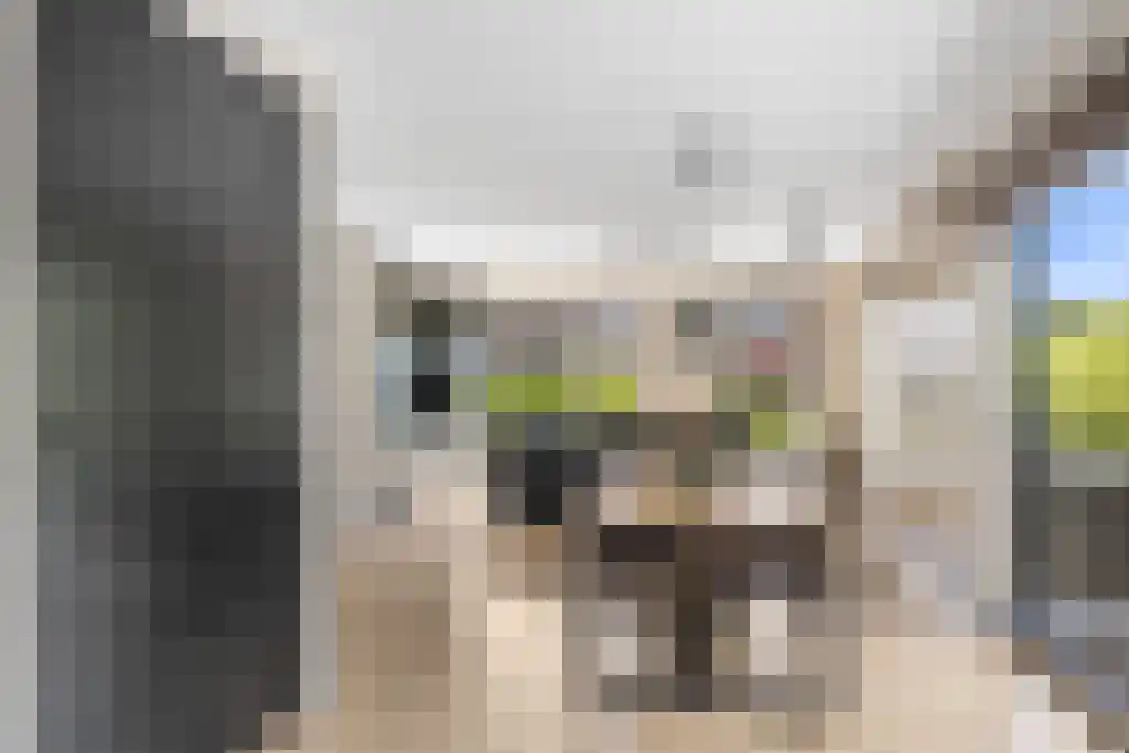 Jikke Reinbergenstrjitte 56 Gorredijk thumbnail 14
