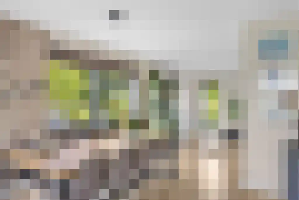 Jikke Reinbergenstrjitte 56 Gorredijk thumbnail 18