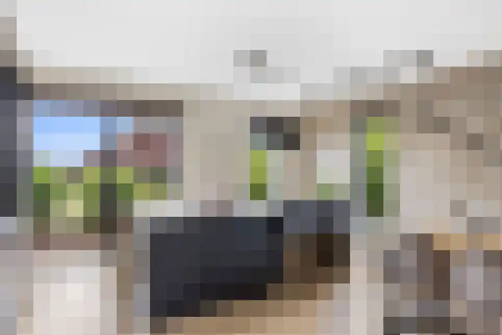 Jikke Reinbergenstrjitte 56 Gorredijk thumbnail 22