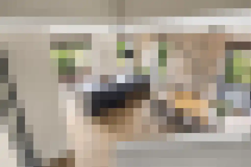 Jikke Reinbergenstrjitte 56 Gorredijk thumbnail 23
