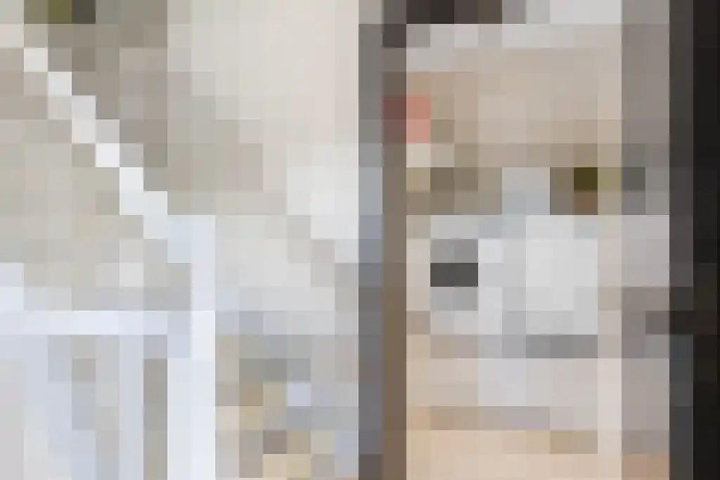 Jikke Reinbergenstrjitte 56 Gorredijk thumbnail 34