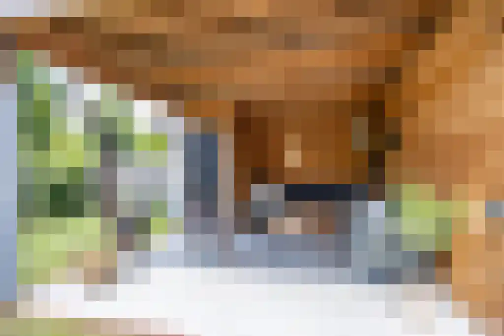 Jikke Reinbergenstrjitte 56 Gorredijk thumbnail 40