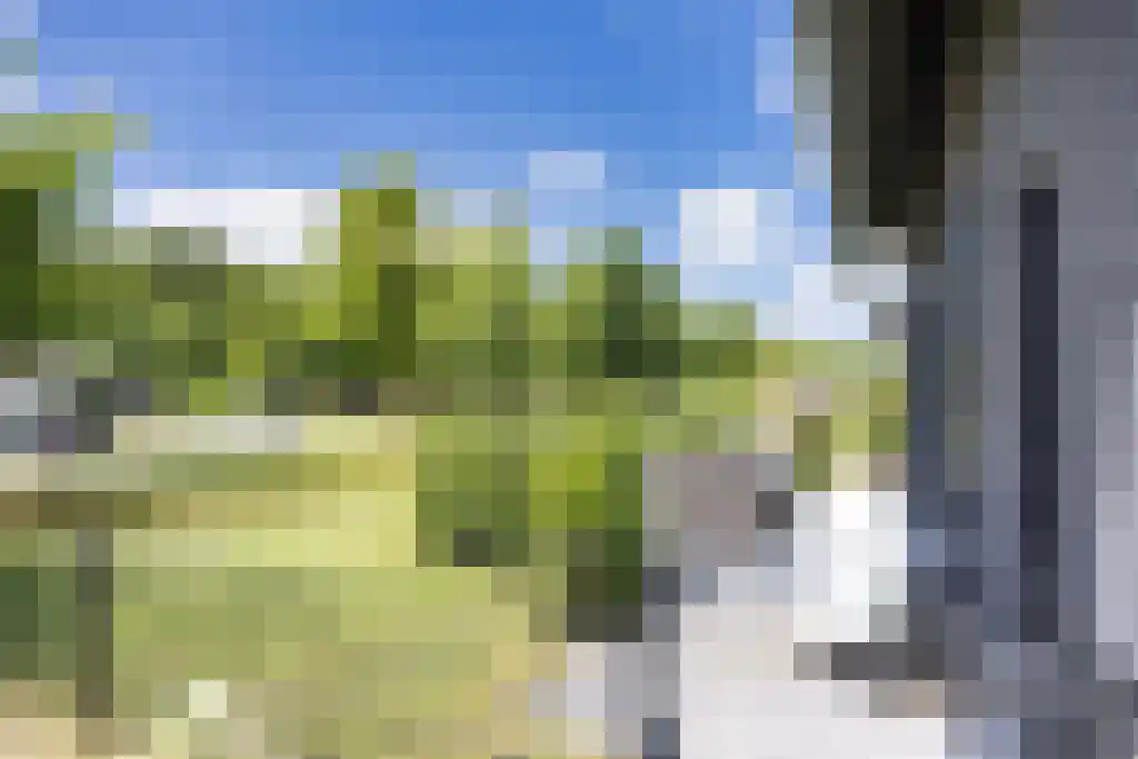 Jikke Reinbergenstrjitte 56 Gorredijk thumbnail 46