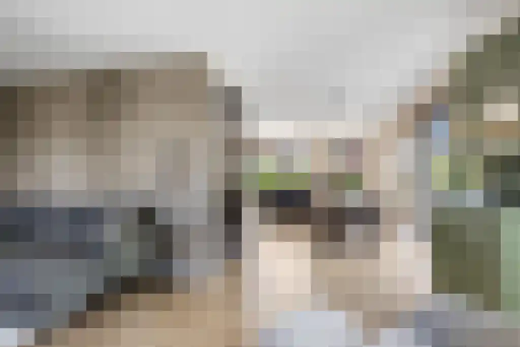 Jikke Reinbergenstrjitte 56 Gorredijk thumbnail 7