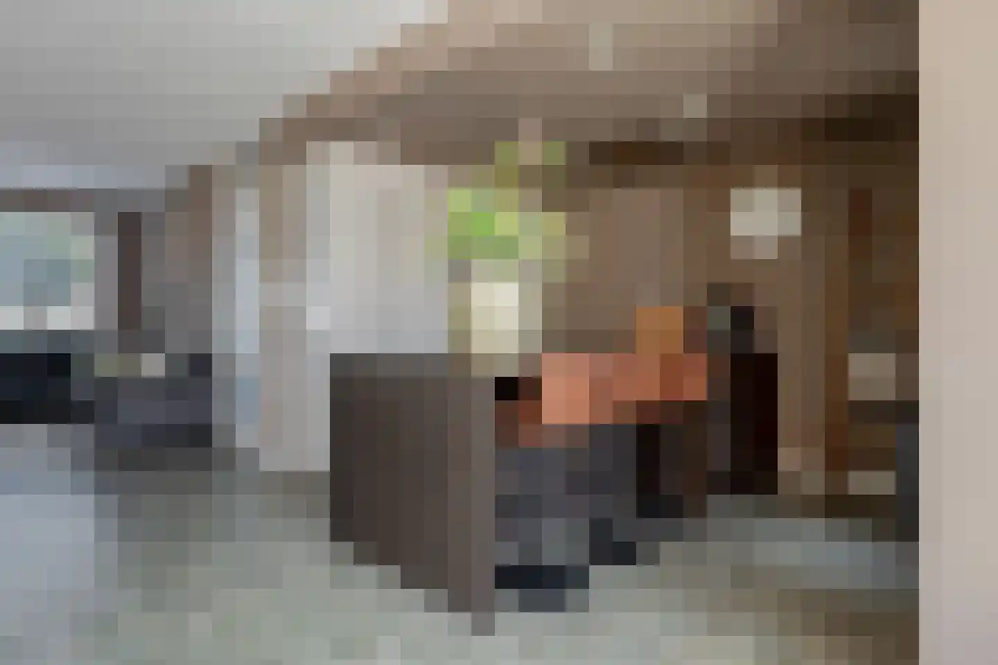 Jikke Reinbergenstrjitte 58 Gorredijk thumbnail 15