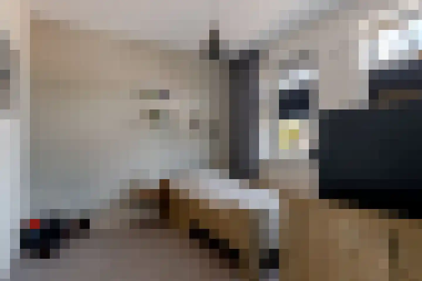 Jikke Reinbergenstrjitte 58 Gorredijk thumbnail 32