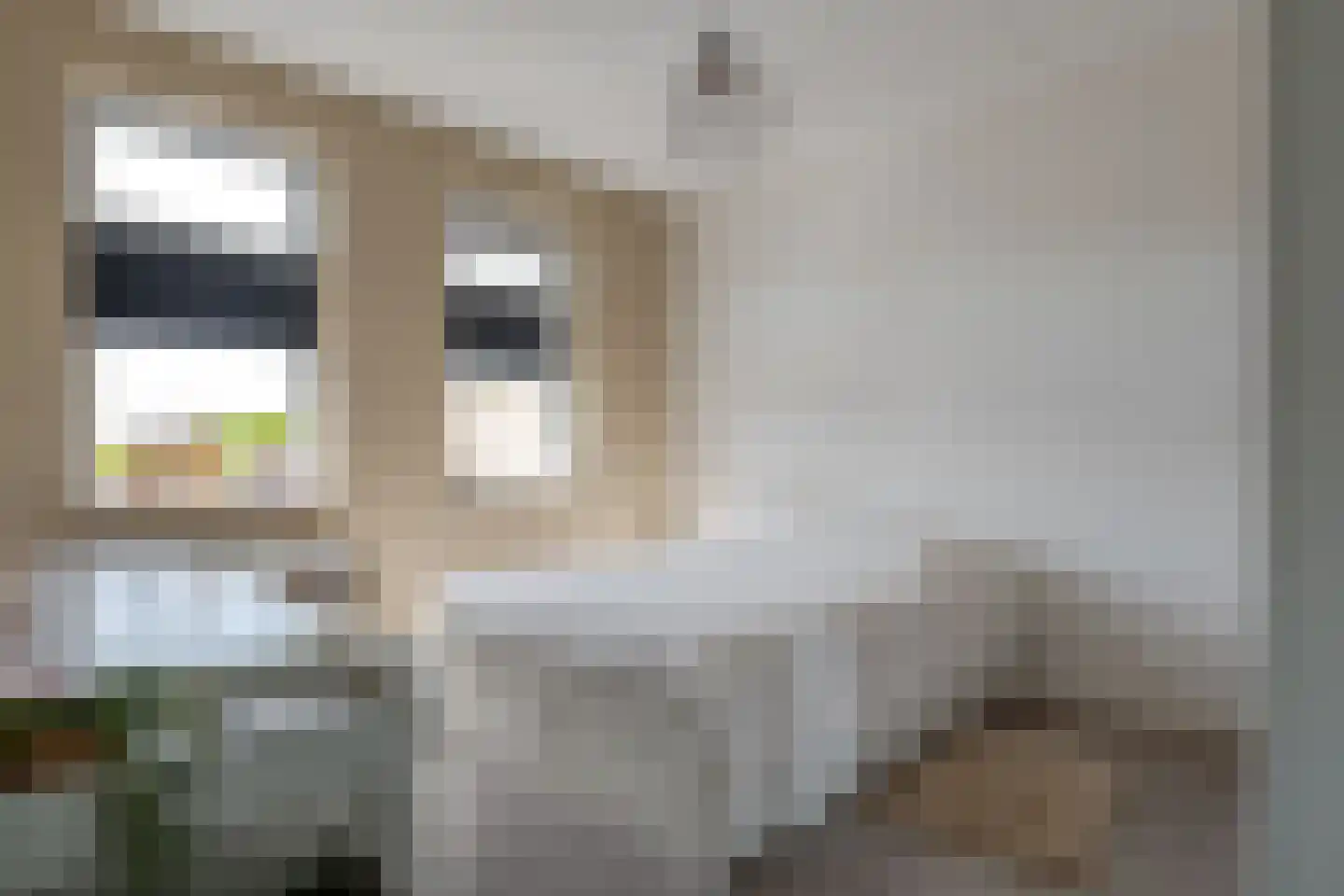 Jikke Reinbergenstrjitte 58 Gorredijk thumbnail 34