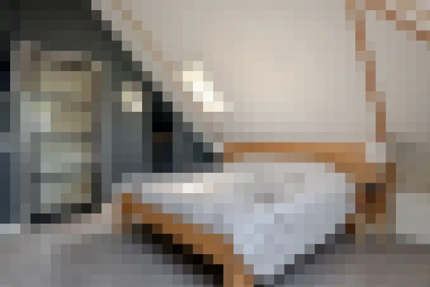 Jikke Reinbergenstrjitte 58 Gorredijk thumbnail 39