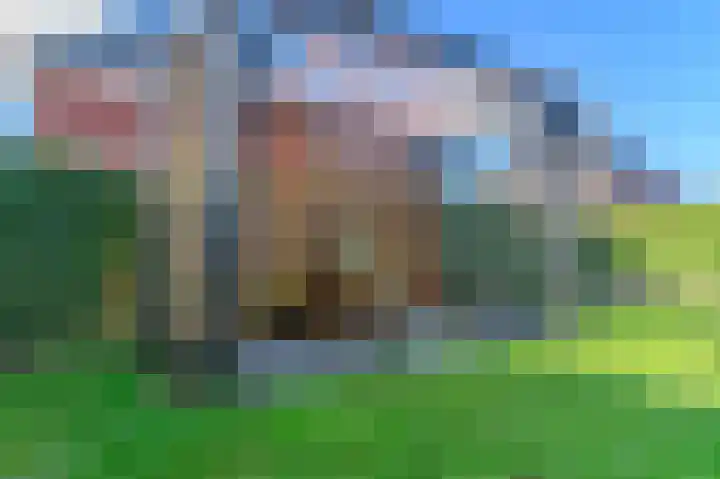 Jikke Reinbergenstrjitte 74 Gorredijk thumbnail 17