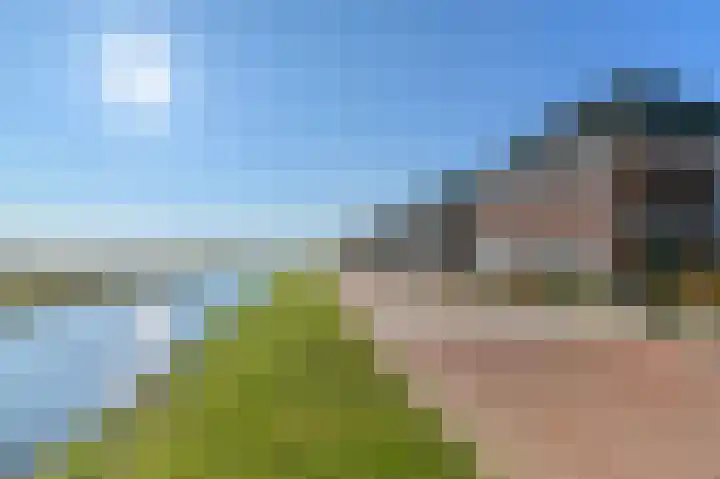 Jikke Reinbergenstrjitte 74 Gorredijk thumbnail 19