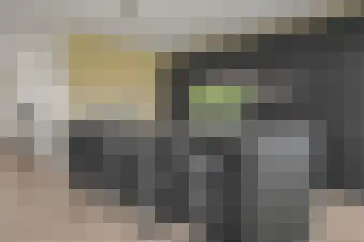 Jikke Reinbergenstrjitte 74 Gorredijk thumbnail 28