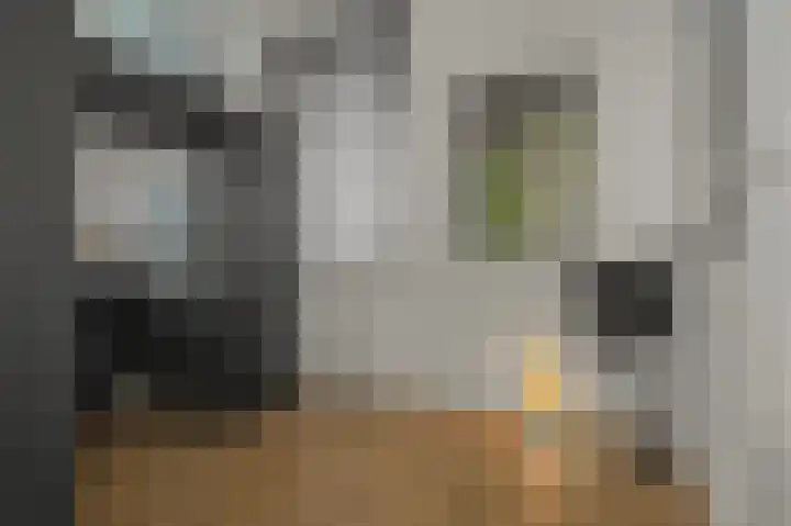 Jikke Reinbergenstrjitte 74 Gorredijk thumbnail 37