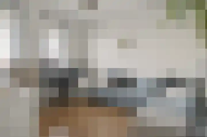 Jikke Reinbergenstrjitte 74 Gorredijk thumbnail 41