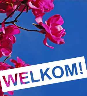 Kantoor foto van Jilisen Makelaardij BV