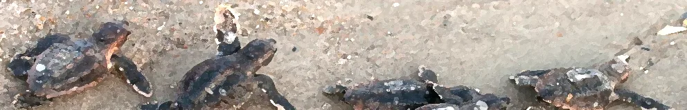 Team foto van Jilisen Makelaardij BV