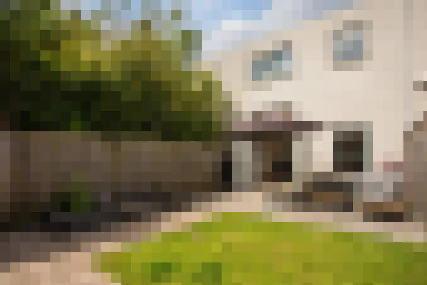 Jimi Hendrixstraat 44 Almere thumbnail 50