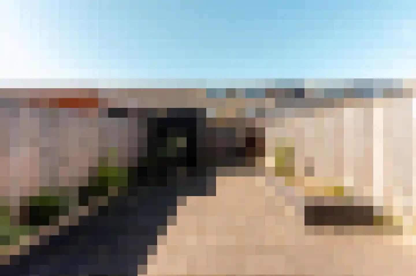 Jimi Hendrixstraat 59 Almere thumbnail 28