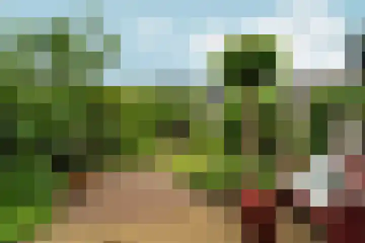 Jimi Hendrixstraat 65 Almere thumbnail 35