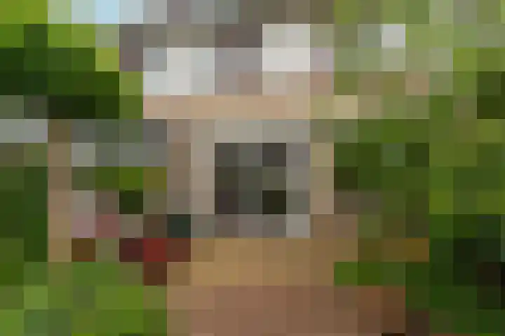 Jimi Hendrixstraat 65 Almere thumbnail 38