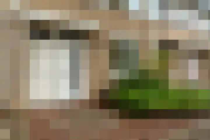 Jimi Hendrixstraat 65 Almere thumbnail 39
