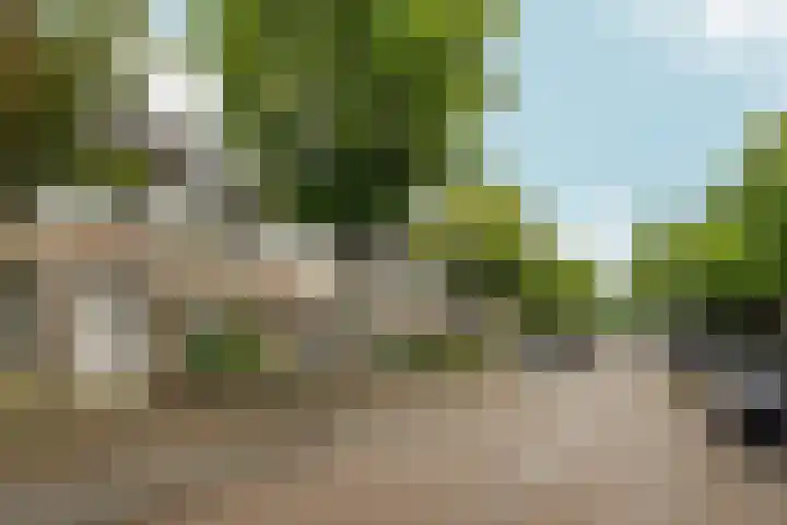 Jimi Hendrixstraat 65 Almere thumbnail 41