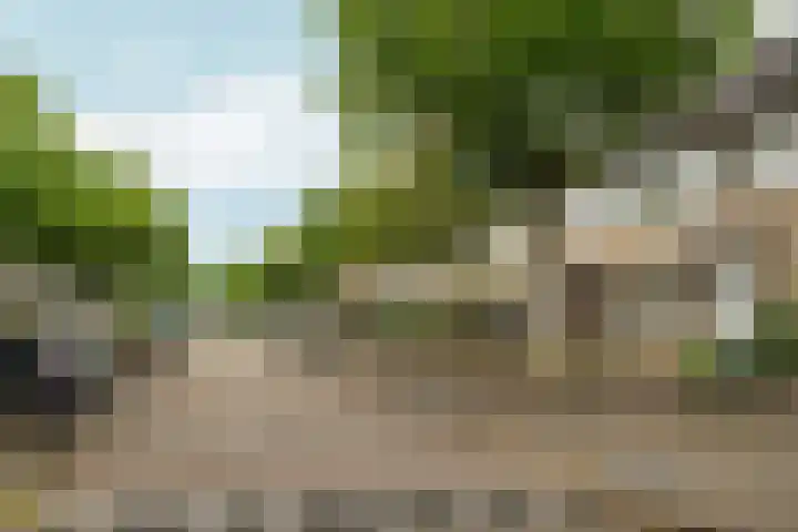 Jimi Hendrixstraat 65 Almere thumbnail 42