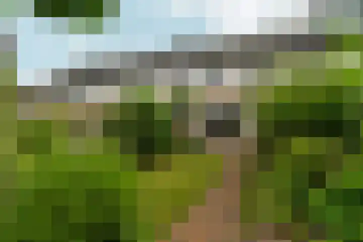 Jimi Hendrixstraat 65 Almere thumbnail 5