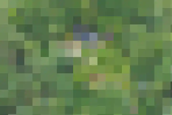 Jinkepaed 5 Twijzelerheide