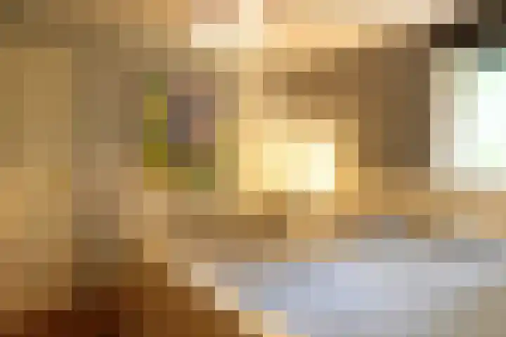 Jinkepaed 5 Twijzelerheide thumbnail 10
