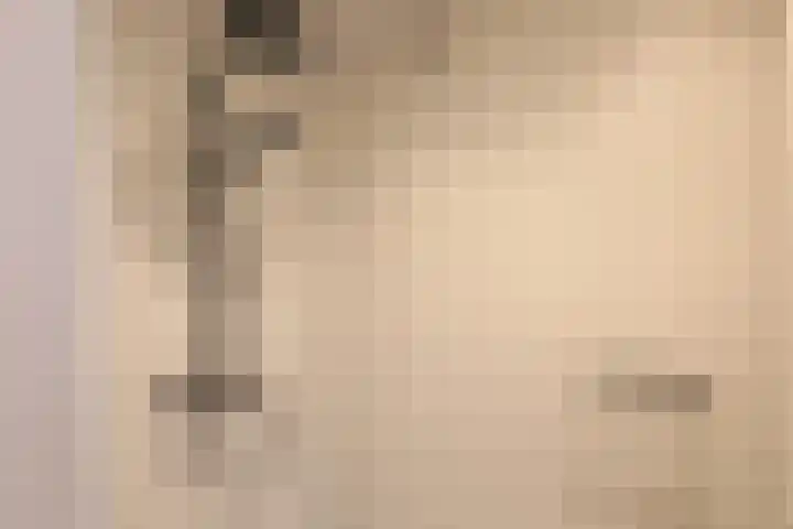Jinkepaed 5 Twijzelerheide thumbnail 12