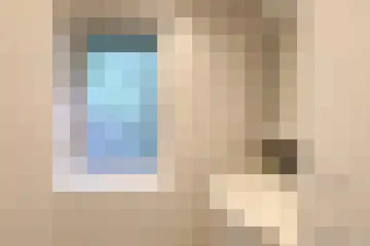 Jinkepaed 5 Twijzelerheide thumbnail 13
