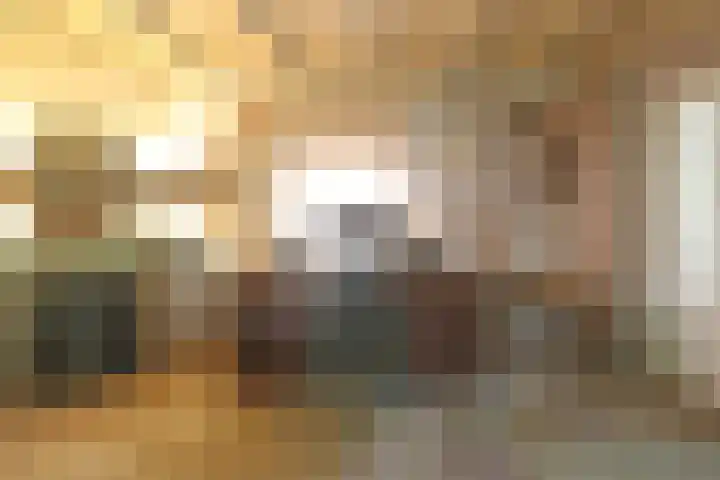 Jinkepaed 5 Twijzelerheide thumbnail 14