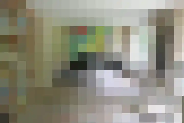 Jinkepaed 5 Twijzelerheide thumbnail 17