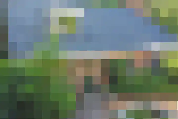 Jinkepaed 5 Twijzelerheide foto 2