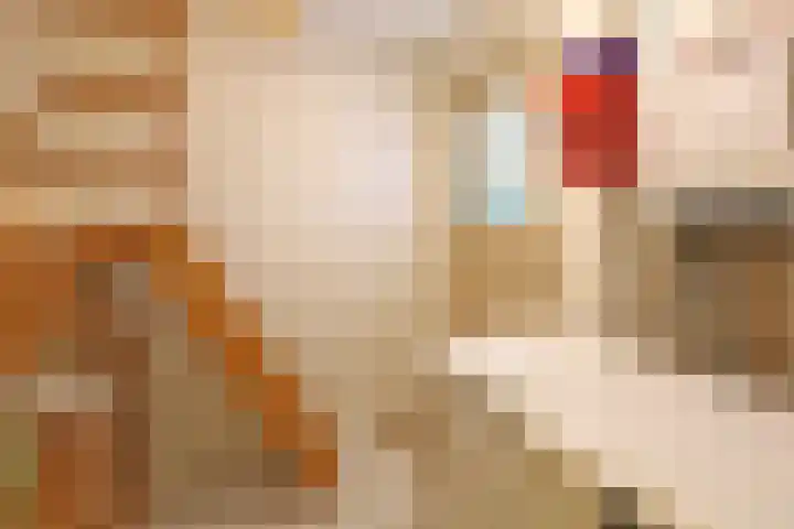 Jinkepaed 5 Twijzelerheide thumbnail 23