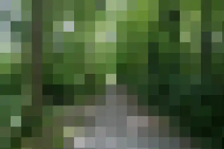 Jinkepaed 5 Twijzelerheide thumbnail 29