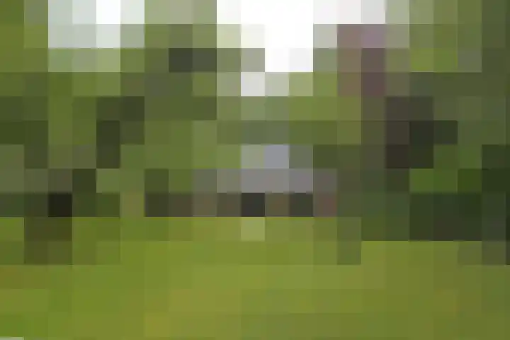 Jinkepaed 5 Twijzelerheide foto 3