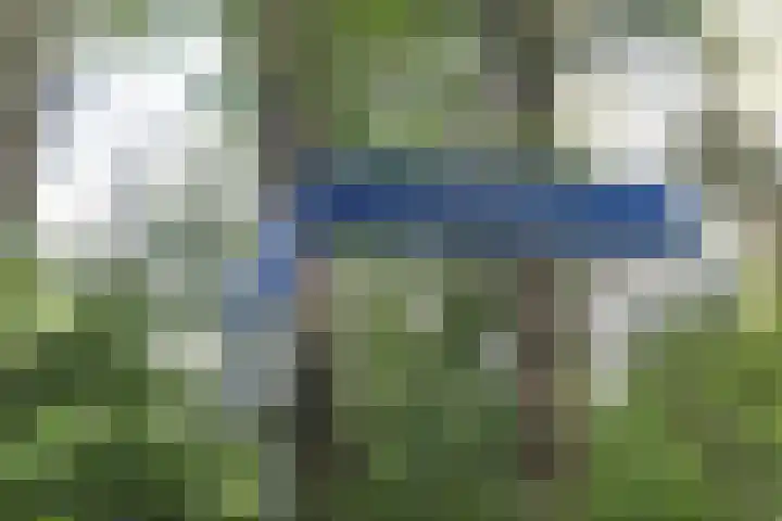 Jinkepaed 5 Twijzelerheide thumbnail 30
