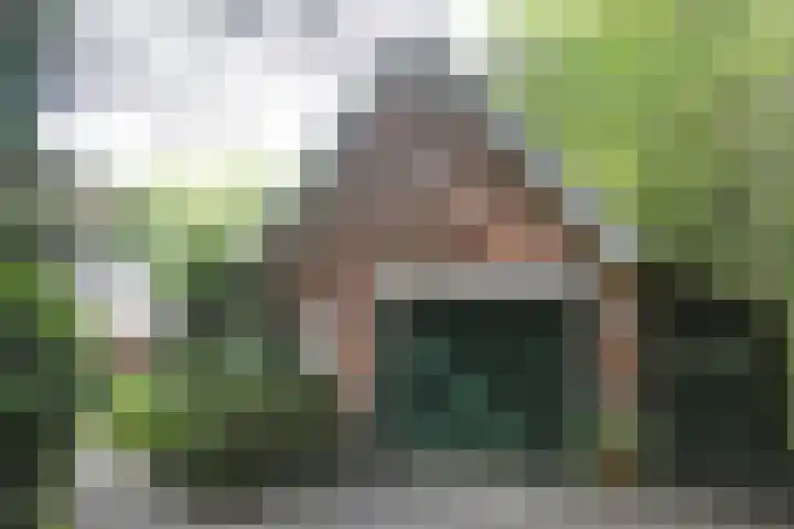 Jinkepaed 5 Twijzelerheide thumbnail 31