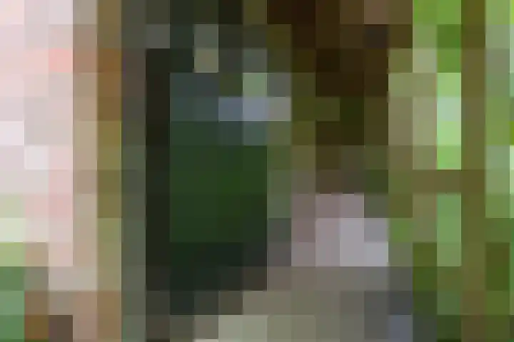 Jinkepaed 5 Twijzelerheide thumbnail 33