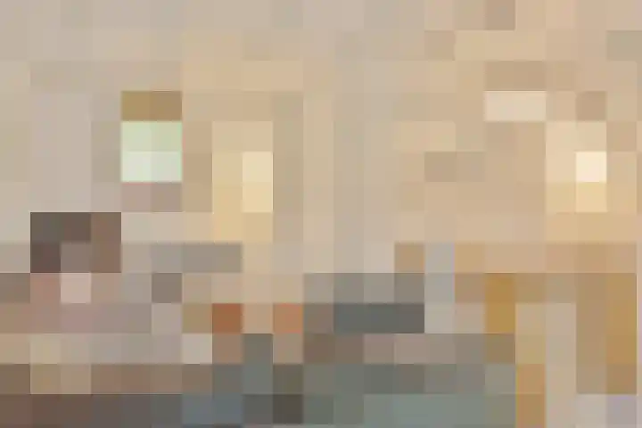 Jinkepaed 5 Twijzelerheide thumbnail 34