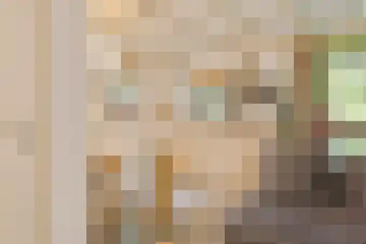 Jinkepaed 5 Twijzelerheide thumbnail 35