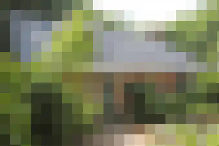 Jinkepaed 5 Twijzelerheide thumbnail 38